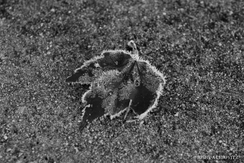 Kimbal_Pond_ME_10262018