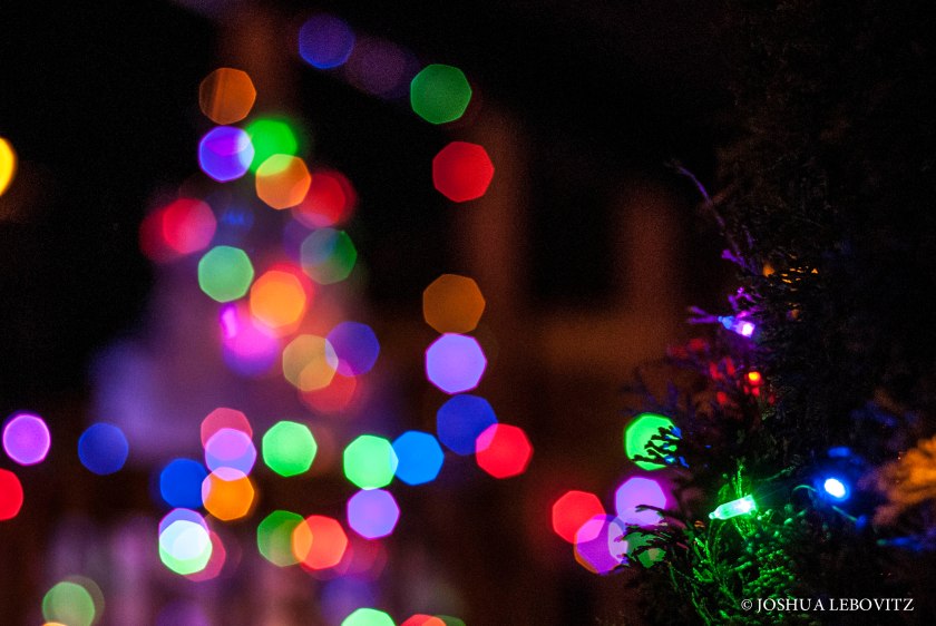 Xmas_Lights_Aris_111242018