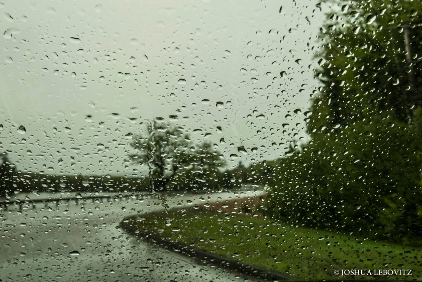 RainyDay-5281019-1-7